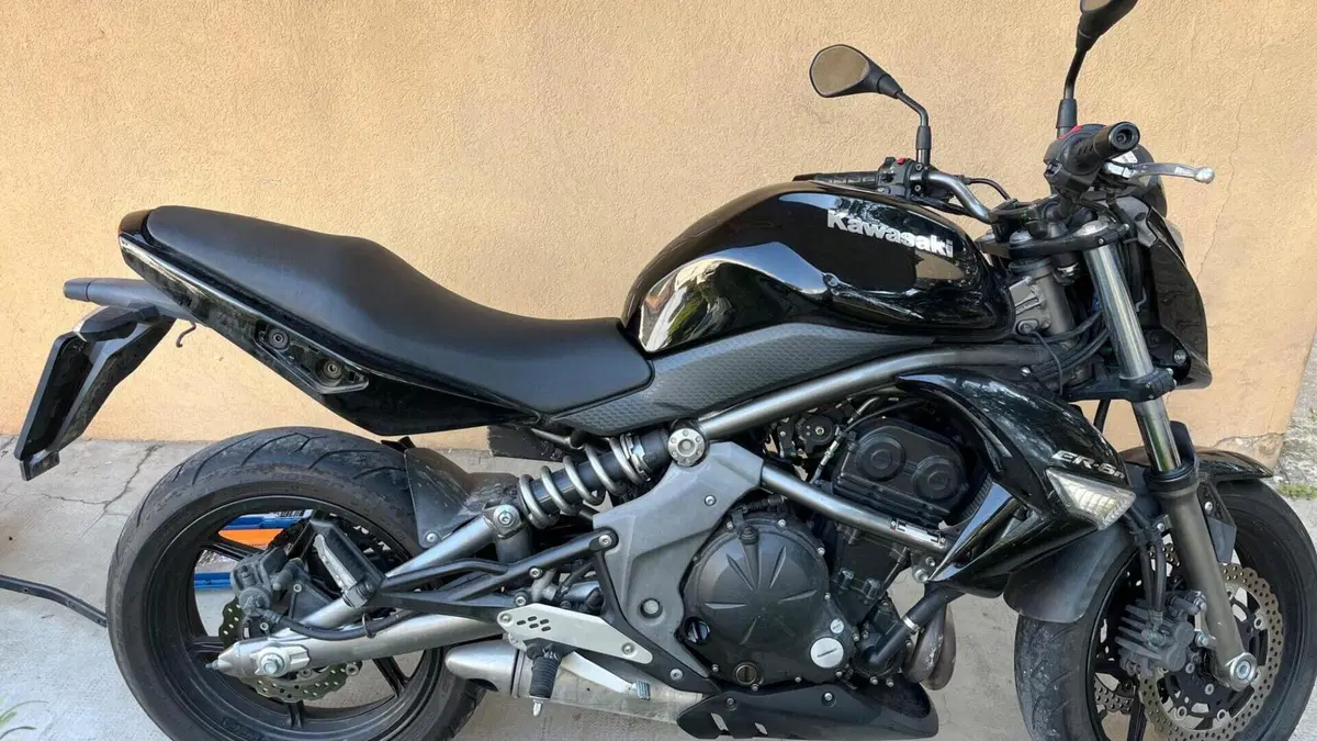 Kawasaki ER-6N (2009 - 11)  (2)