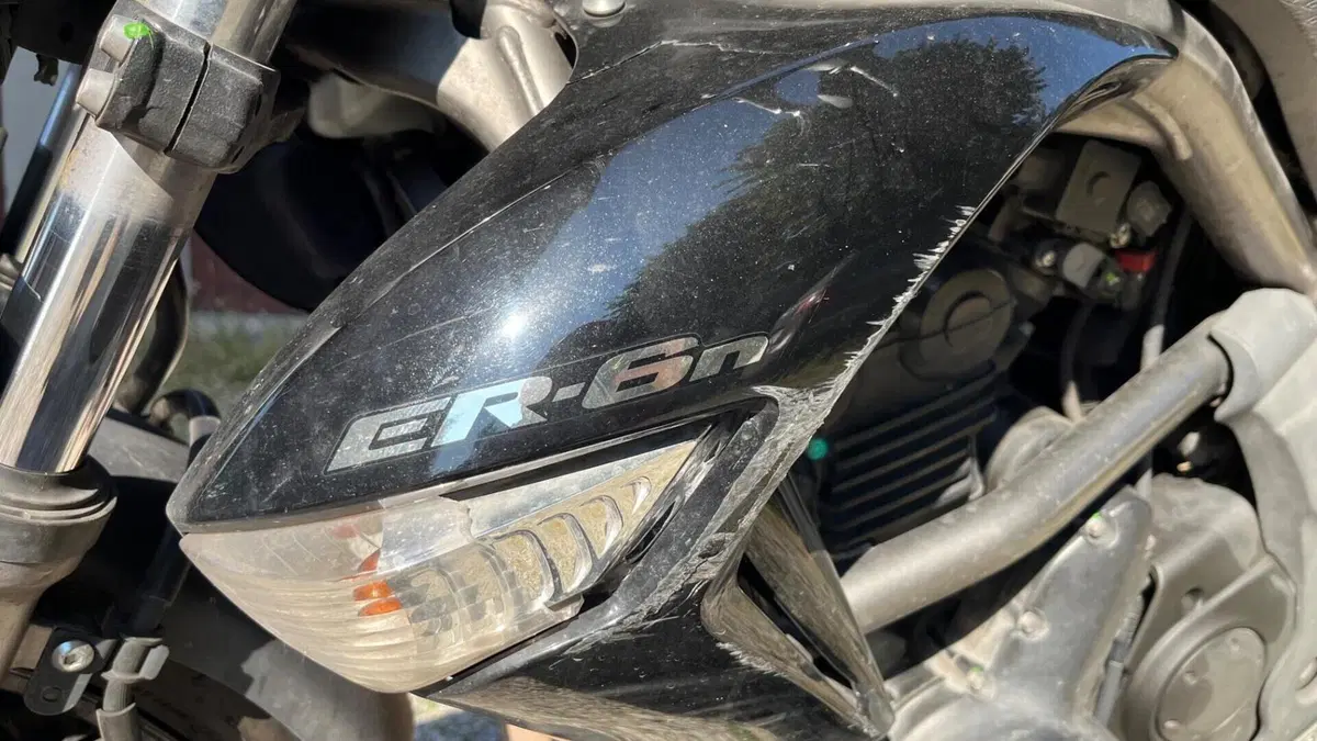 Kawasaki ER-6N (2009 - 11)  (6)