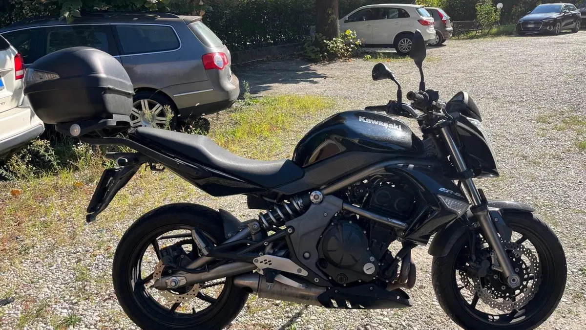 Kawasaki ER-6N (2009 - 11)  (7)