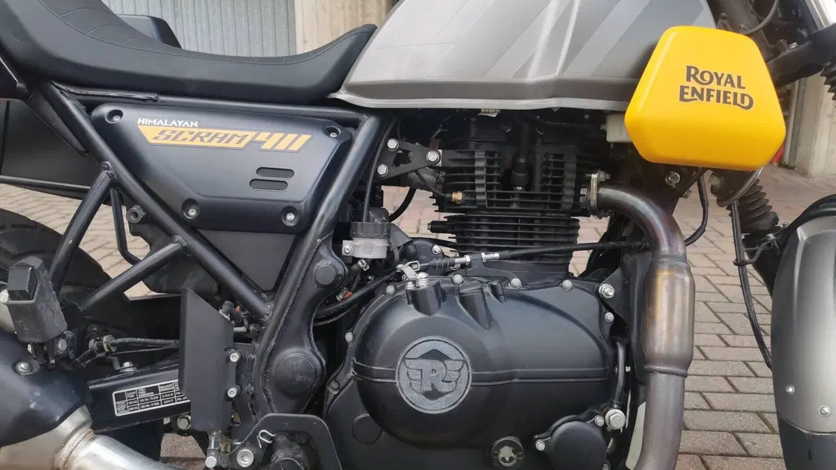 Royal Enfield Scram 411 (2022 - 24)  (7)
