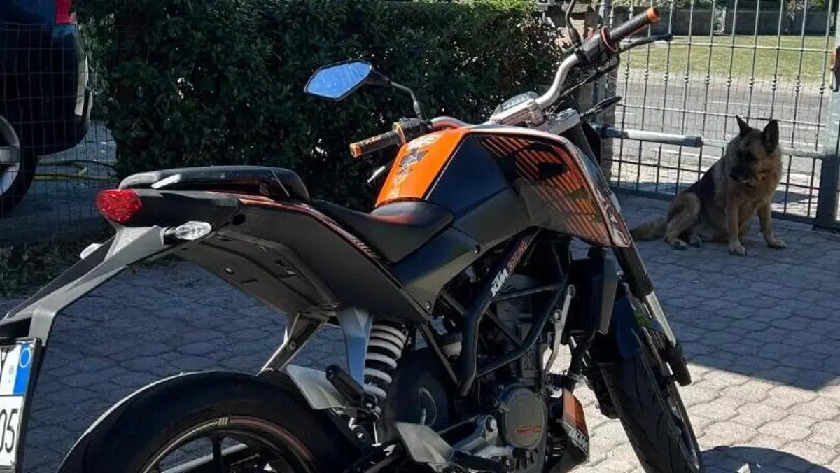 KTM 125 Duke (2010 - 2012)  (4)