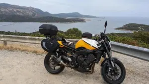 Yamaha FZ1 (2006 - 16)  (5)