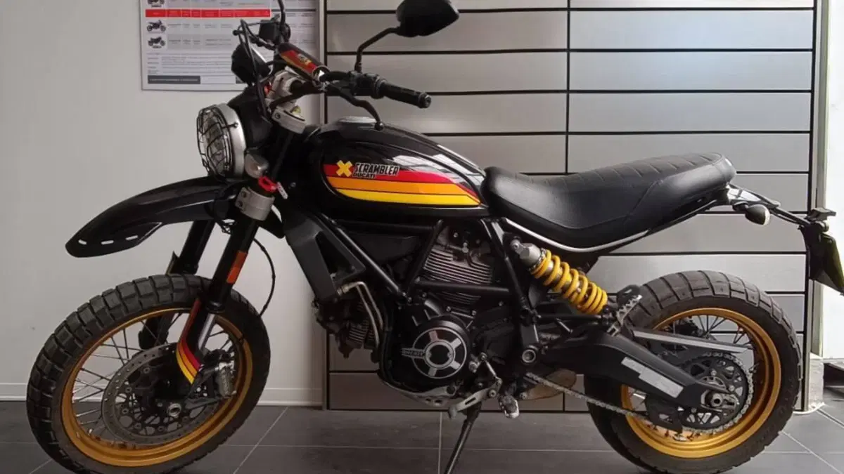 Ducati Scrambler 800 Desert Sled (2017 - 20)  (4)