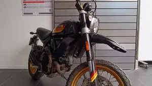 Ducati Scrambler 800 Desert Sled (2017 - 20)  (7)