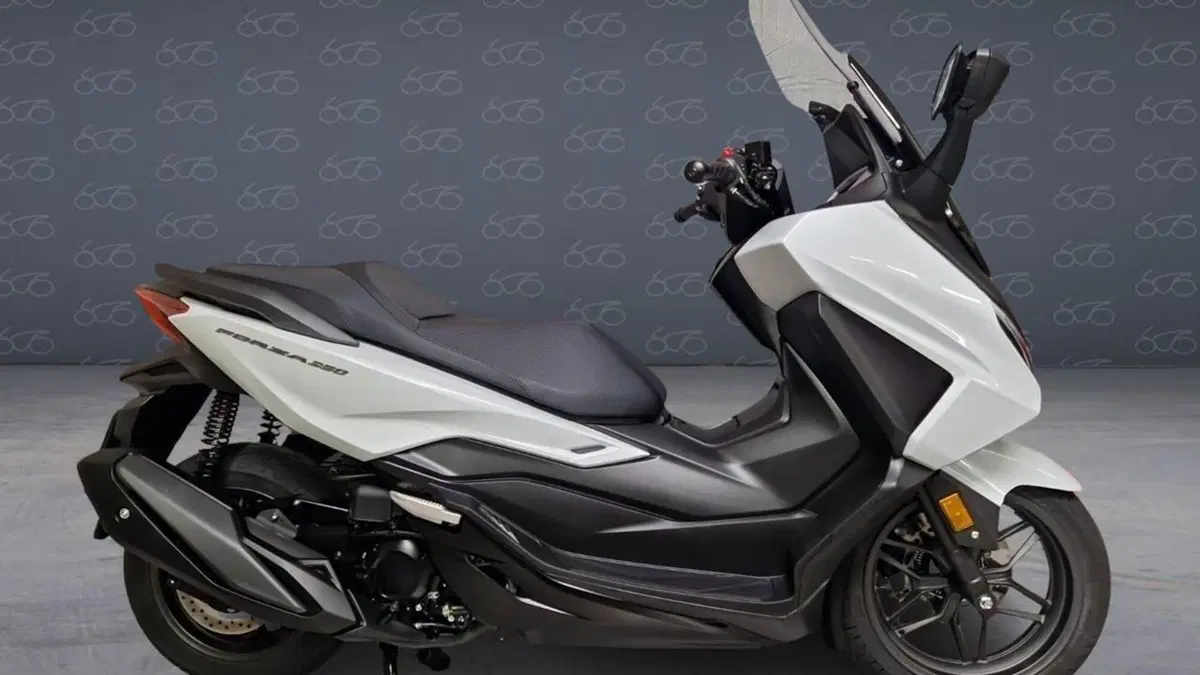 Honda Forza 350 (2025 - 26) 
