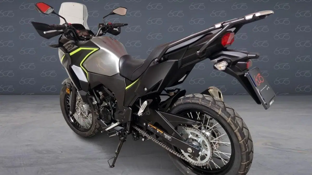 Kawasaki Versys-X 300 (2017 - 20)  (4)
