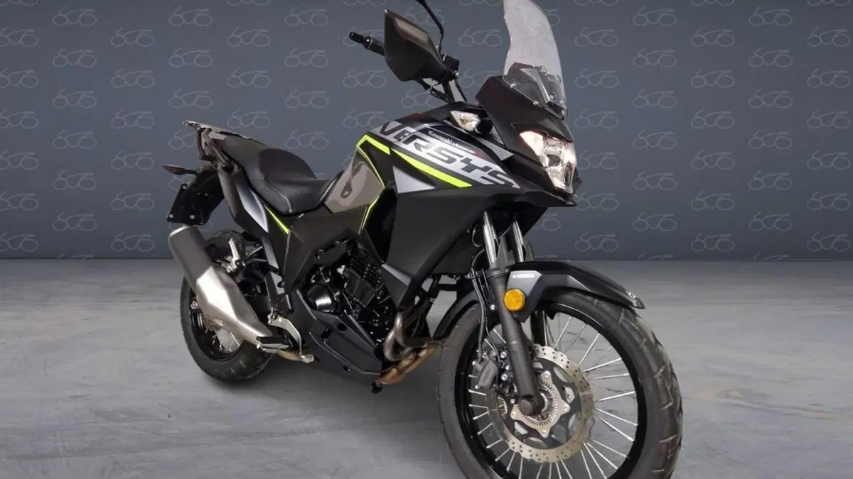Kawasaki Versys-X 300 (2017 - 20)  (2)