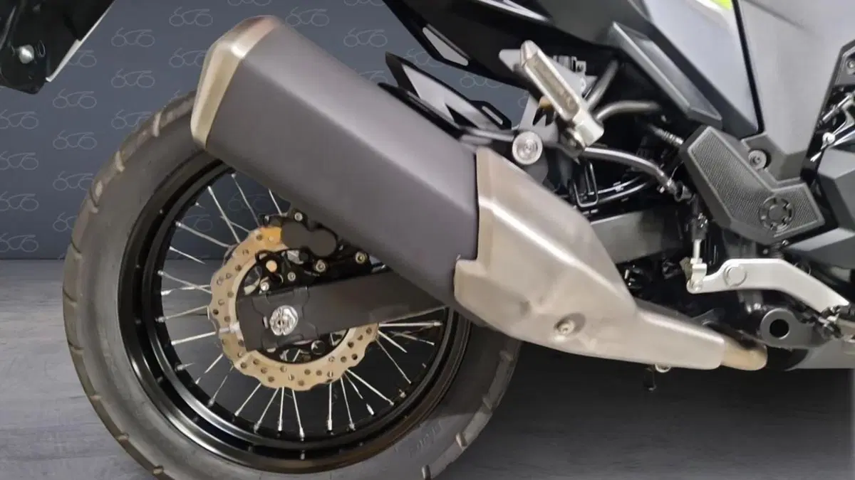 Kawasaki Versys-X 300 (2017 - 20)  (5)