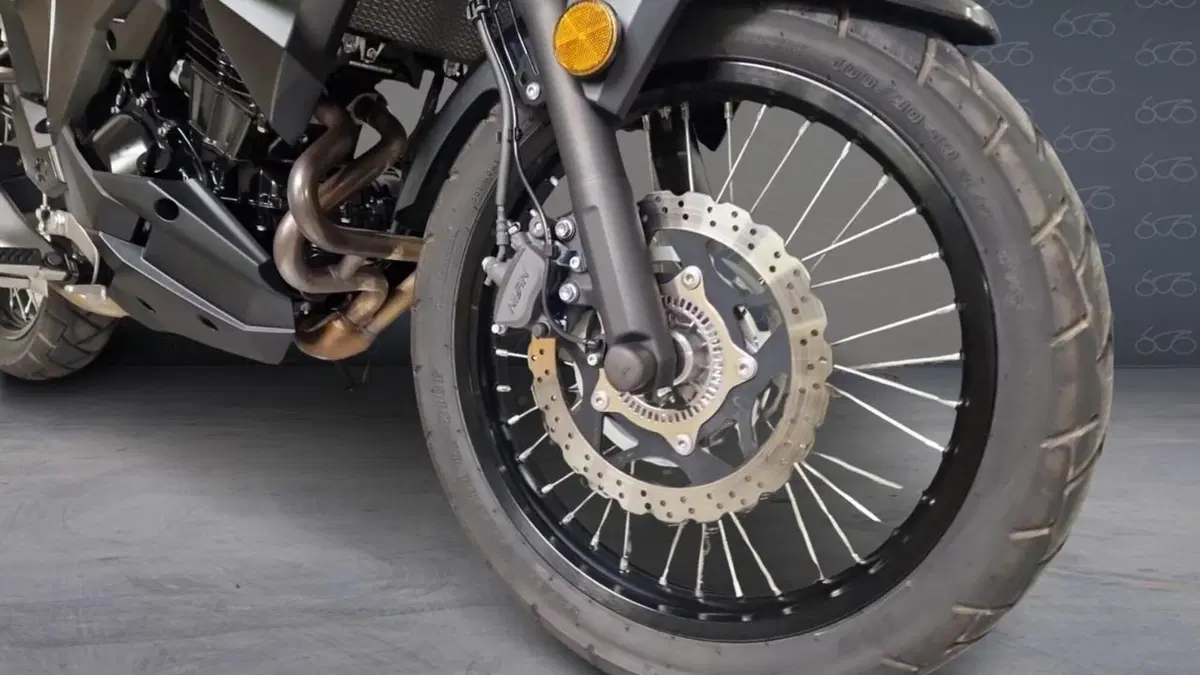 Kawasaki Versys-X 300 (2017 - 20)  (6)