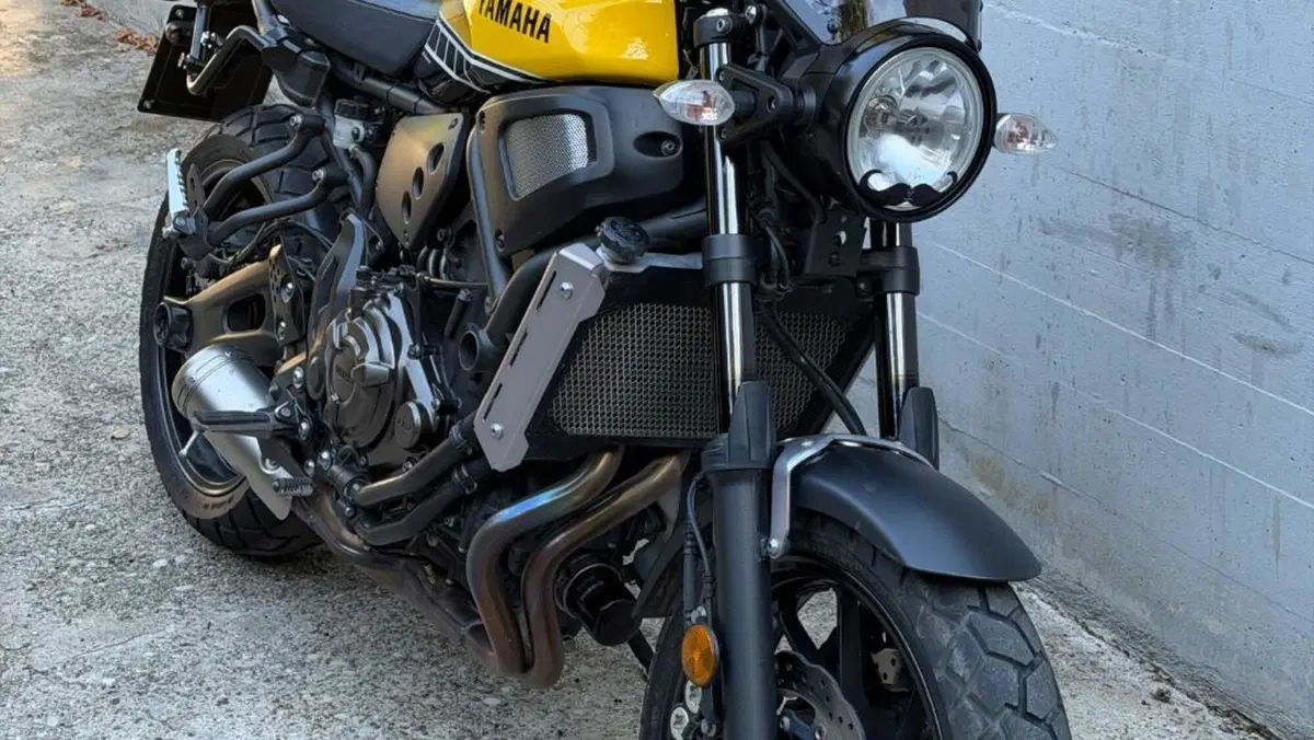 Yamaha XSR 700 ABS 60th Anniversary (2016 - 18)  (2)