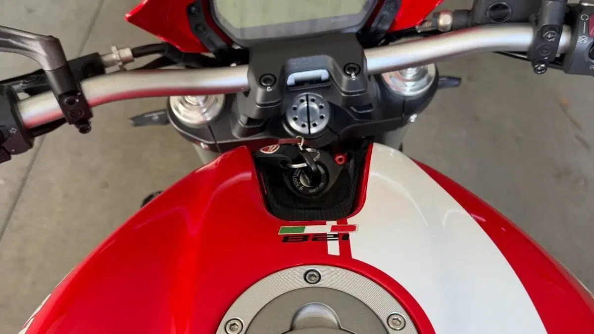 Ducati Monster 821 Stripe ABS (2015 - 17)  (7)