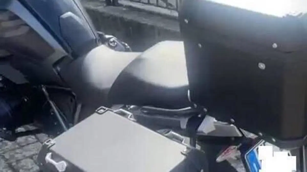 Bmw R 1250 GS (2021 - 24)  (19)