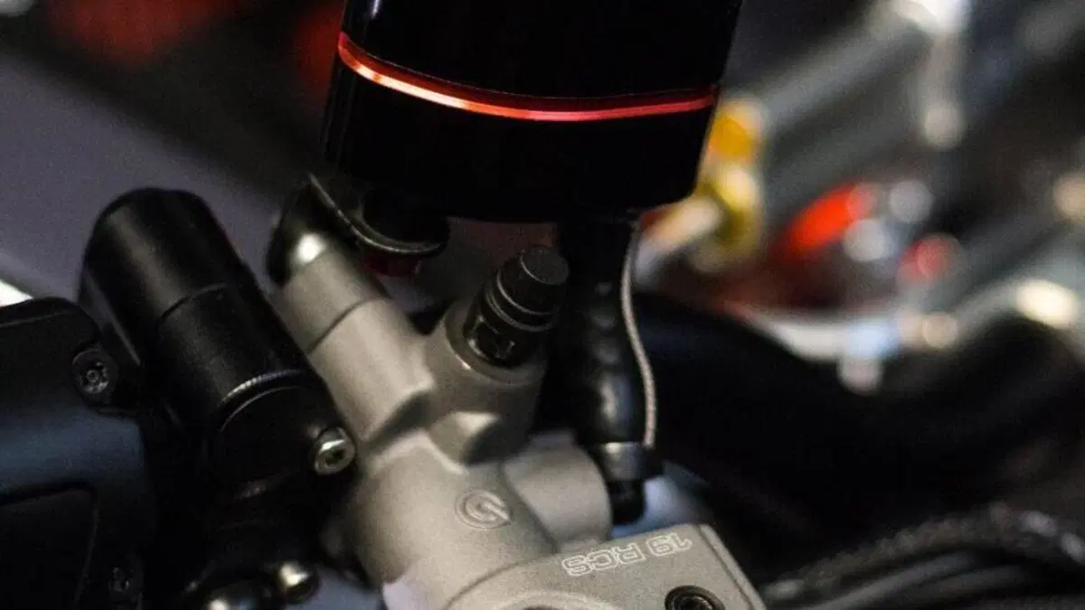 MV Agusta Brutale 800 EAS ABS (2016 - 19)  (9)