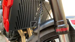 Triumph Trident 660 (2021 - 24)  (12)