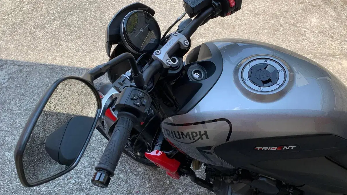 Triumph Trident 660 (2021 - 24)  (7)