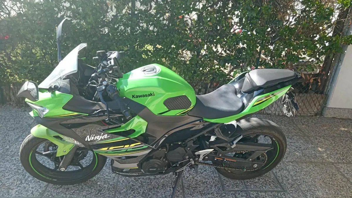 Kawasaki Ninja 400 (2018 - 20)  (2)