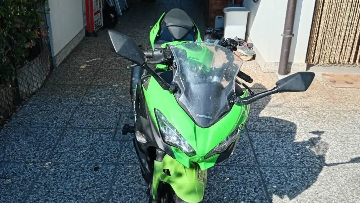Kawasaki Ninja 400 (2018 - 20)  (4)