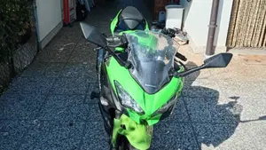 Kawasaki Ninja 400 (2018 - 20)  (4)