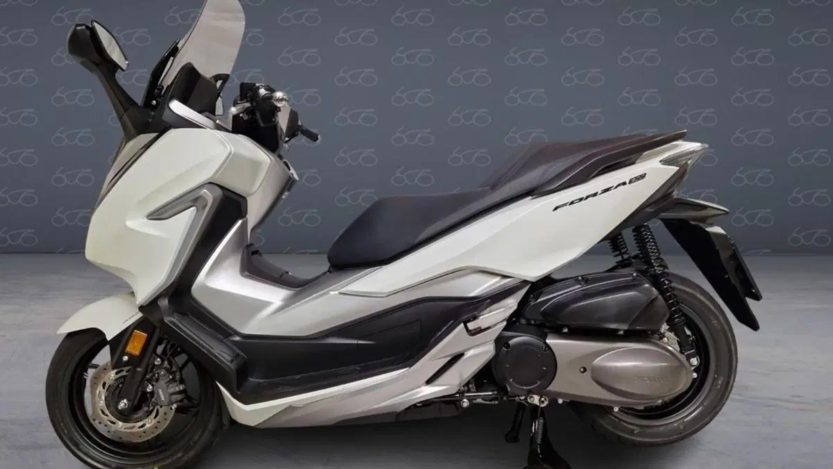 Honda Forza 300 ABS (2018 - 20)  (3)
