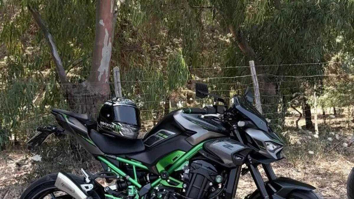 Kawasaki Z 900 (2025 - 27)  (6)