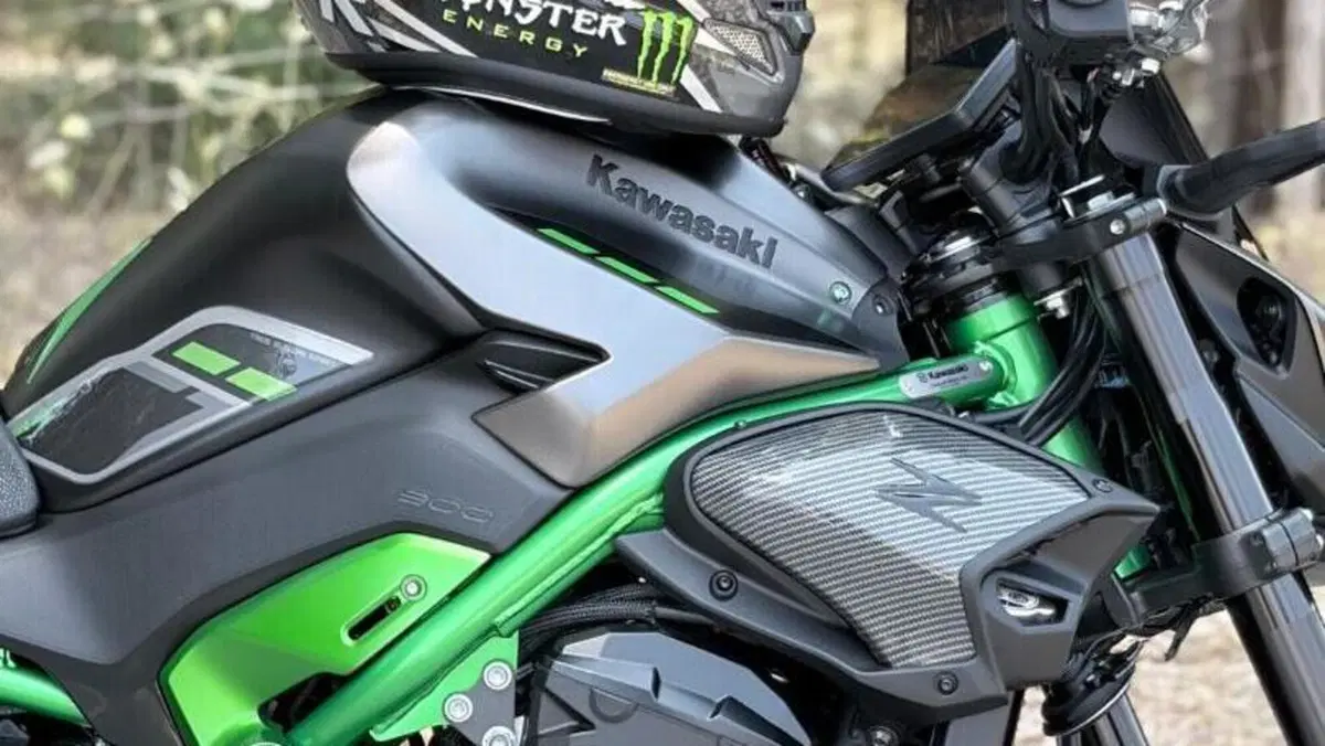 Kawasaki Z 900 (2025 - 27)  (3)