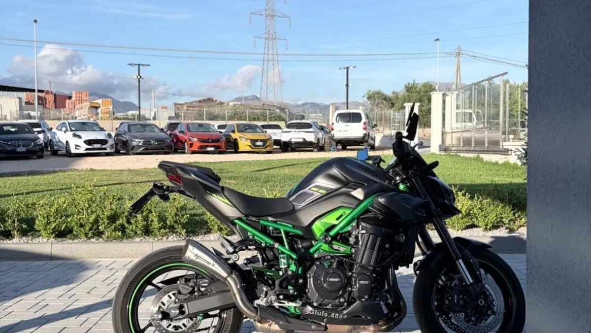 Kawasaki Z 900 (2025 - 27)  (7)