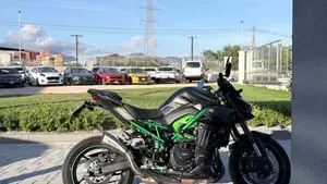 Kawasaki Z 900 (2025 - 27)  (7)