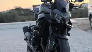 Kawasaki Z 900 (2025 - 27)  (2)