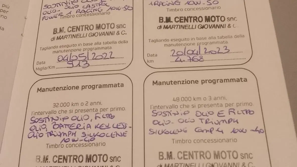 Triumph Speed Triple 1200 RS (2021 - 24)  (11)