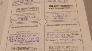 Triumph Speed Triple 1200 RS (2021 - 24)  (11)