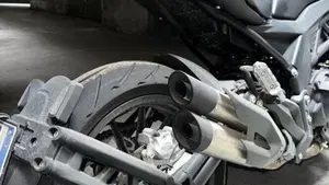 Benelli 502 C (2021 - 25)  (2)