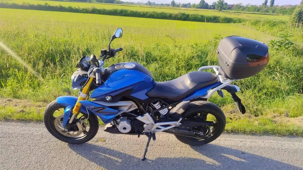 Bmw G 310 R (2016 - 20)  (3)