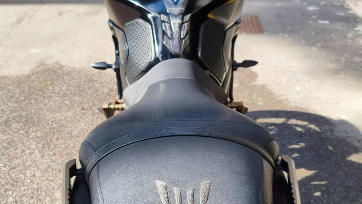 Yamaha MT-09 (2017 - 20)  (5)