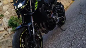 Yamaha MT-09 (2017 - 20)  (8)