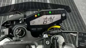 Yamaha MT-09 (2017 - 20)  (7)