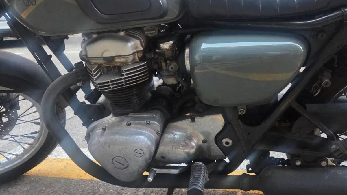 Kawasaki W 650 (2001 - 06)  (3)