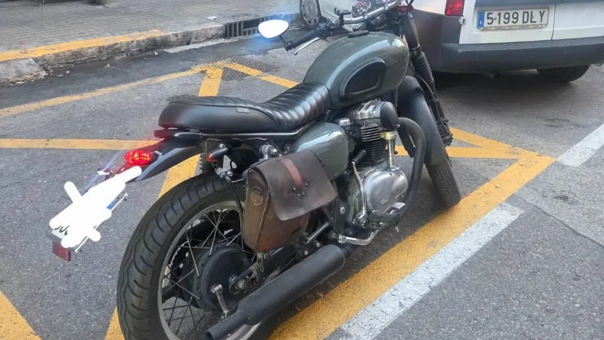 Kawasaki W 650 (2001 - 06)  (12)