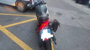 Kawasaki W 650 (2001 - 06)  (8)