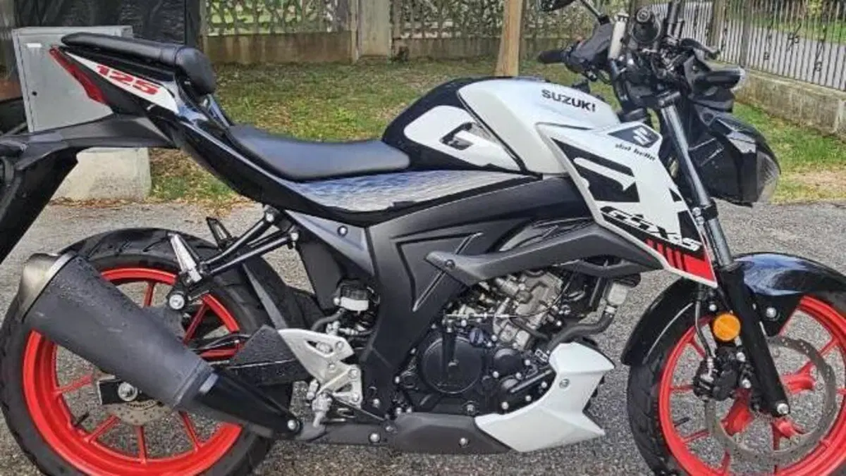 Suzuki GSX-S125 (2022 - 24) 