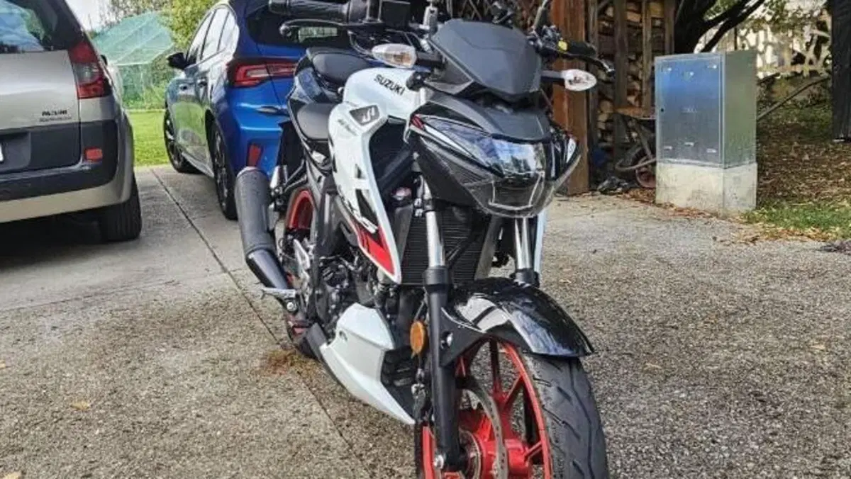 Suzuki GSX-S125 (2022 - 24)  (3)