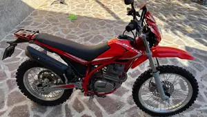 Betamotor Alp 200 (2018 - 20)  (4)