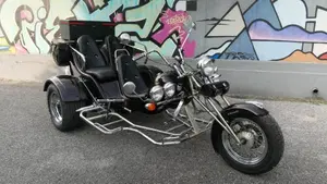 Mister Trike Easy Trike (2007 - 14) 