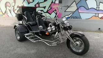 Mister Trike Easy Trike (2007 - 14) usata
