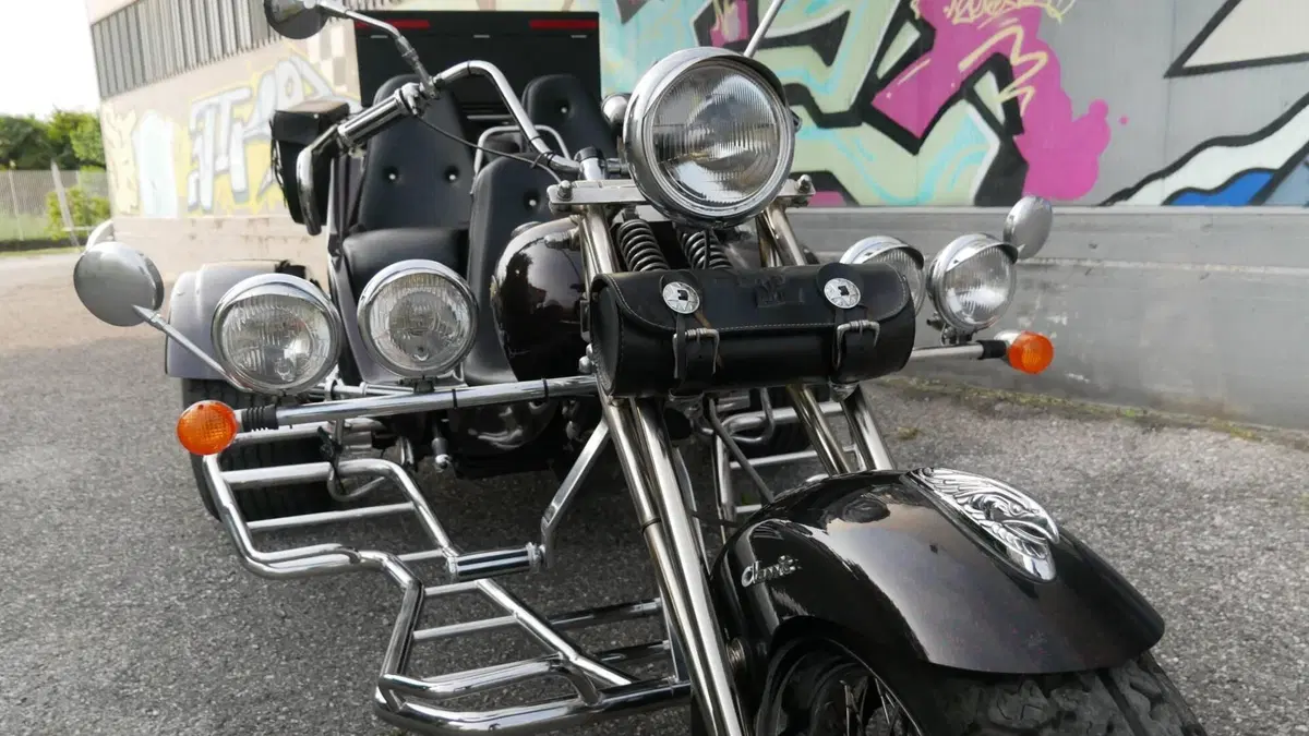 Mister Trike Easy Trike (2007 - 14)  (2)