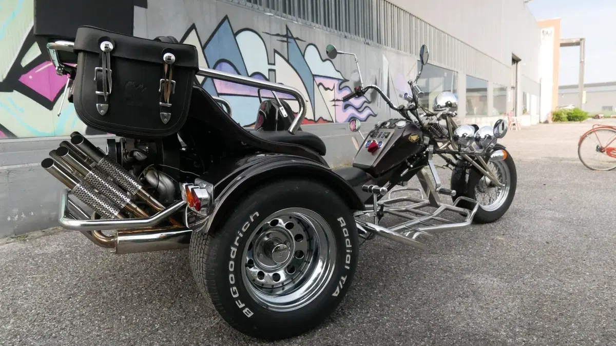 Mister Trike Easy Trike (2007 - 14)  (3)
