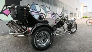 Mister Trike Easy Trike (2007 - 14)  (3)