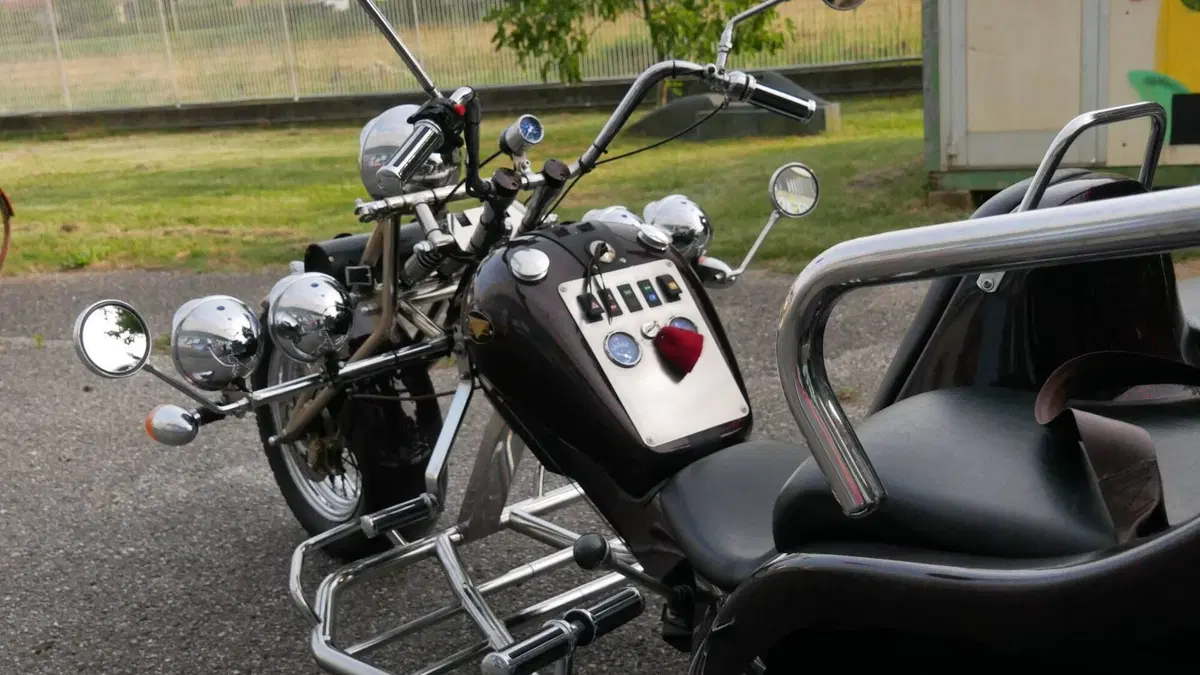 Mister Trike Easy Trike (2007 - 14)  (5)
