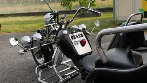 Mister Trike Easy Trike (2007 - 14)  (5)