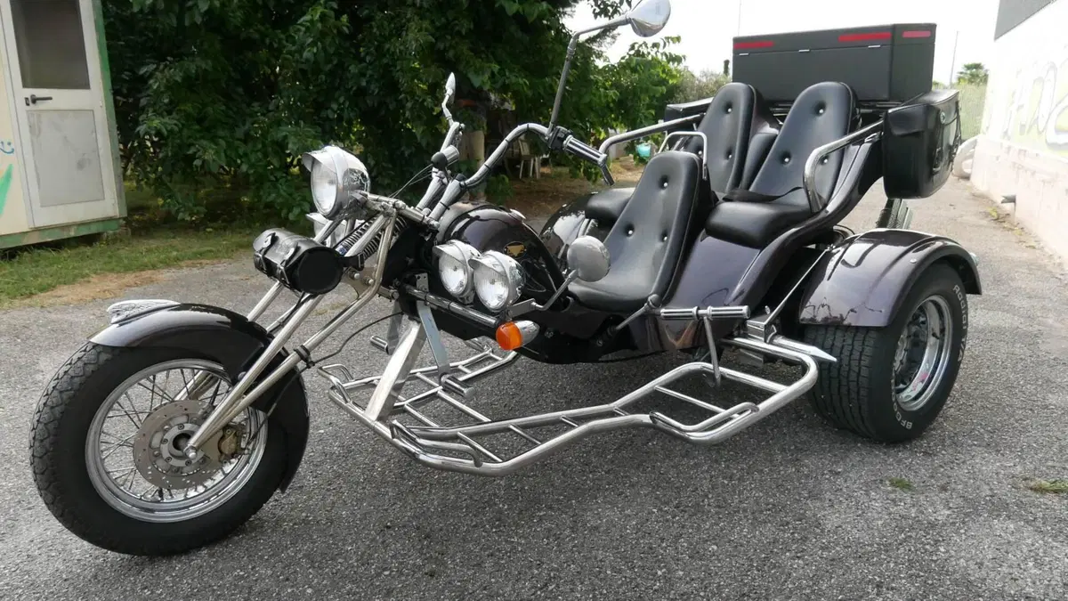 Mister Trike Easy Trike (2007 - 14)  (6)