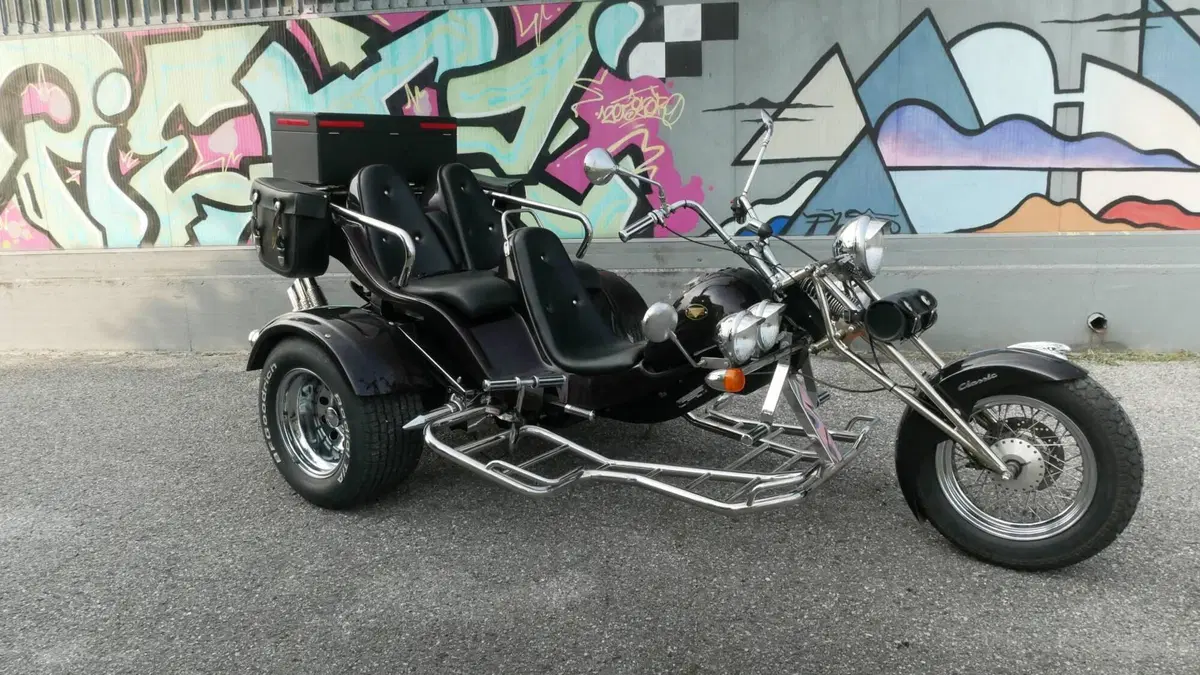 Mister Trike Easy Trike (2007 - 14)  (7)